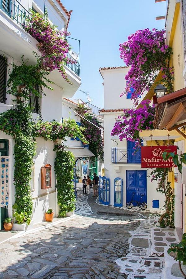 Mikri Gonia Villa Skiathos-stad Buitenkant foto